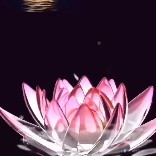 视频号家居家装排行榜第23名undefined,新榜指数540.3,新增作品数2,总推荐数558,平均推荐数279,最高推荐数548