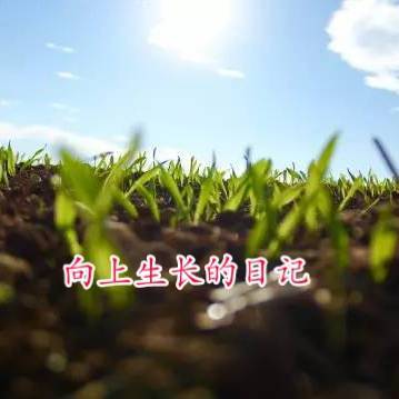 向上生长的喜乐