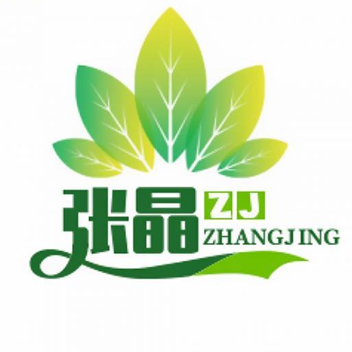 张晶观体育