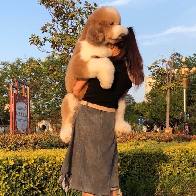 巨贵欧文的麻麻