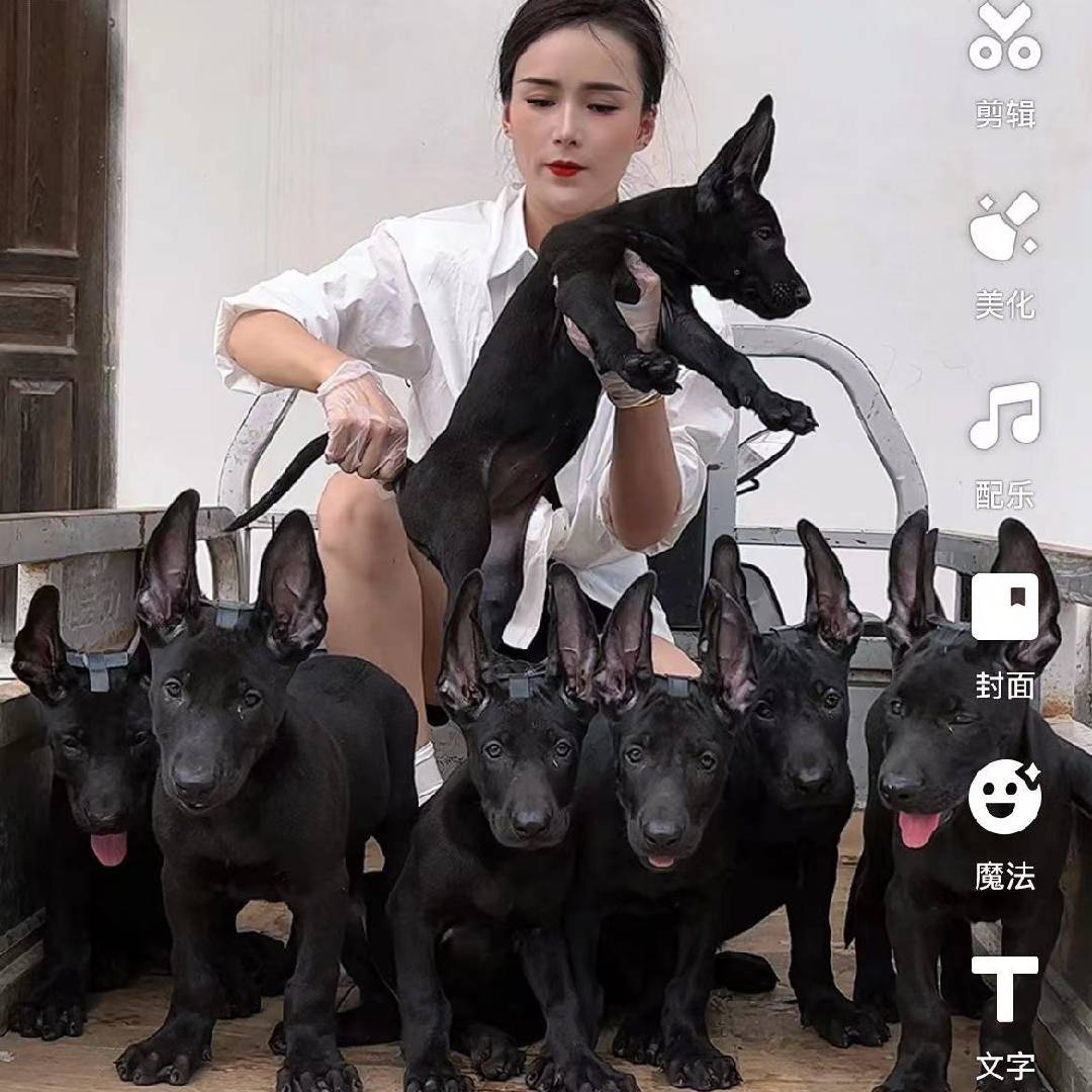 奋斗的农村小妹