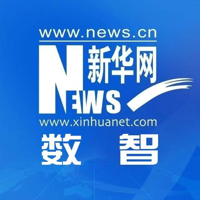 新华数智