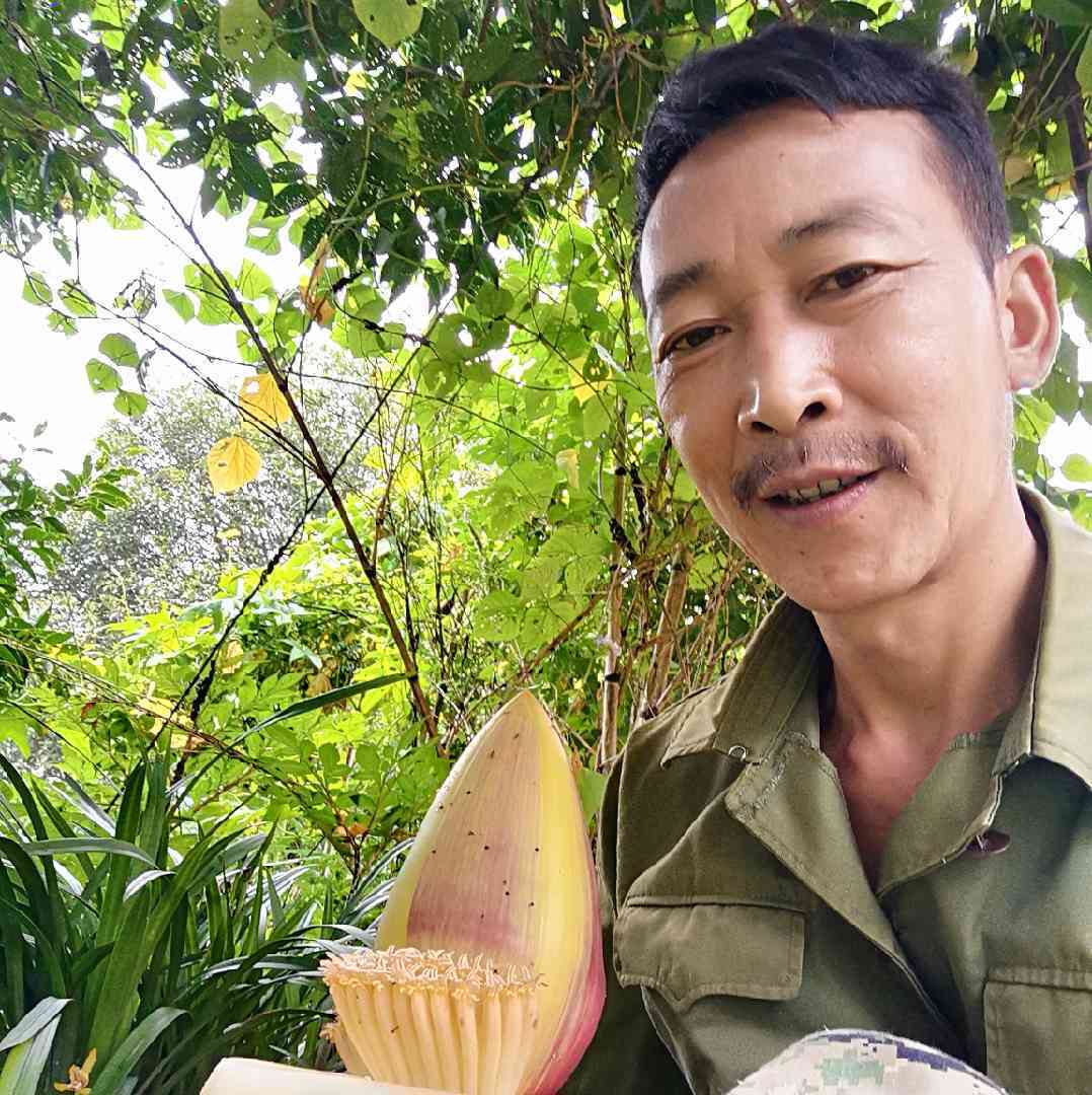 诚实发