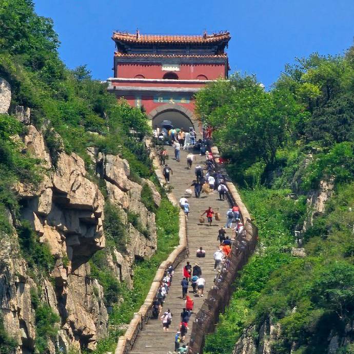 老猫游泰山