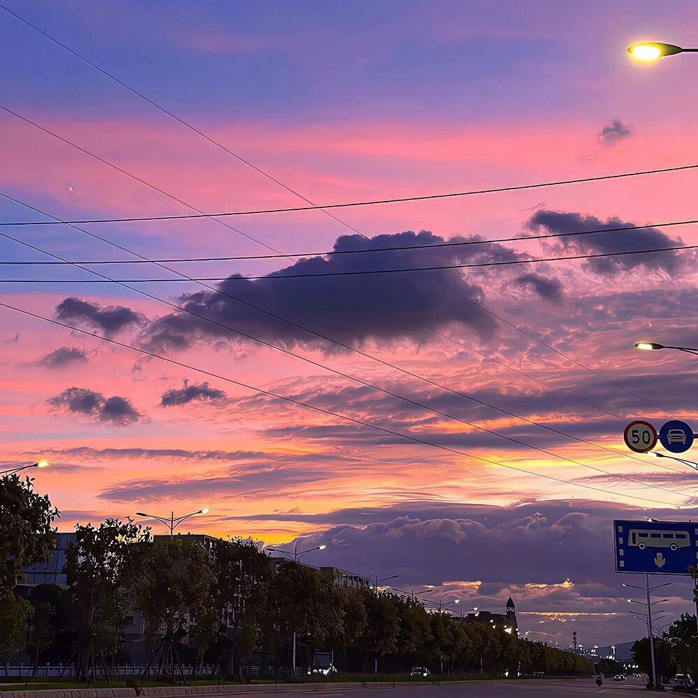 文强智慧传承13