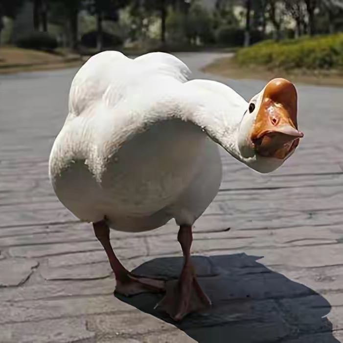 户外静宜