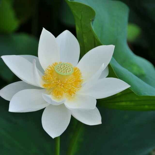 生活趣事订阅
