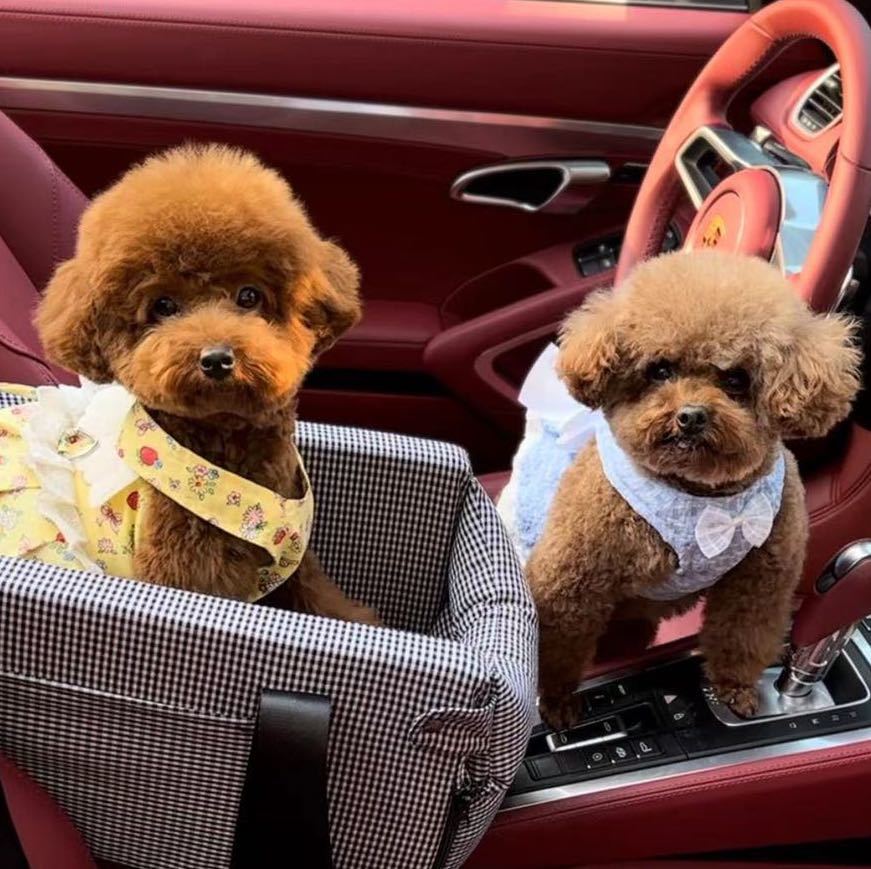 邹小爱和于妞妞