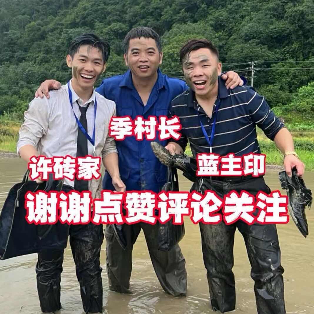 佰汇蓝主印