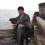 文生海鲜