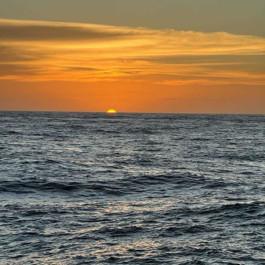 海上精英666