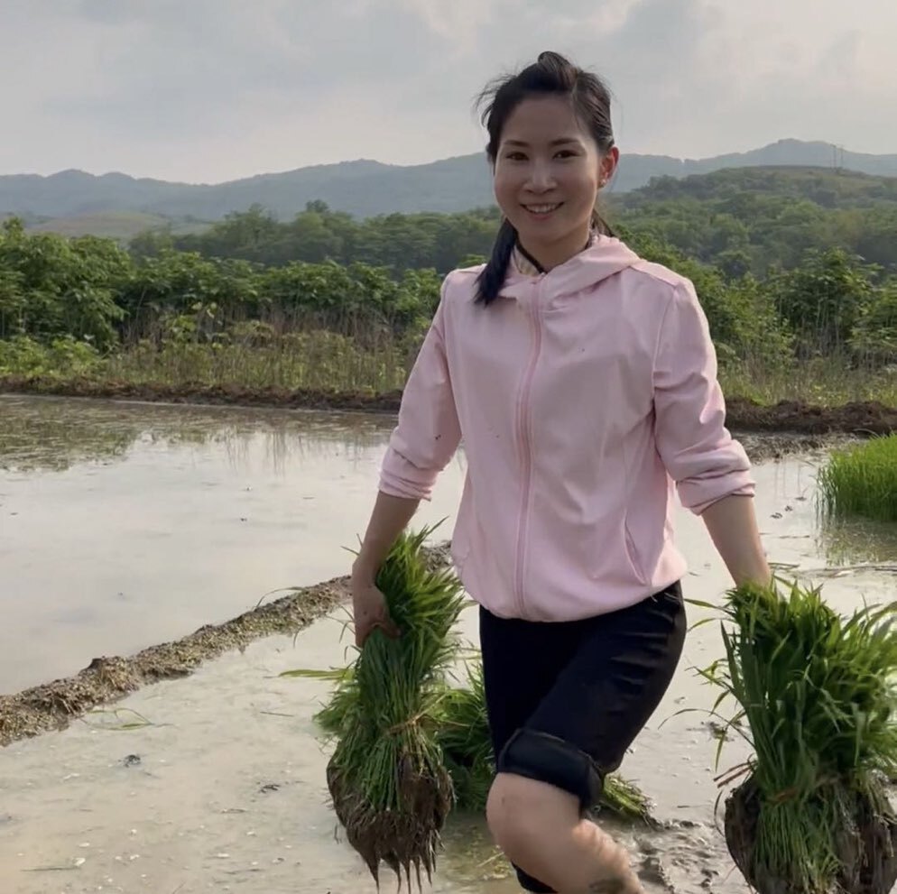 乡村小雅