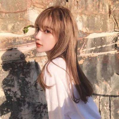白露追剧