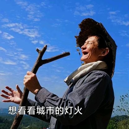 老牛信阳毛尖