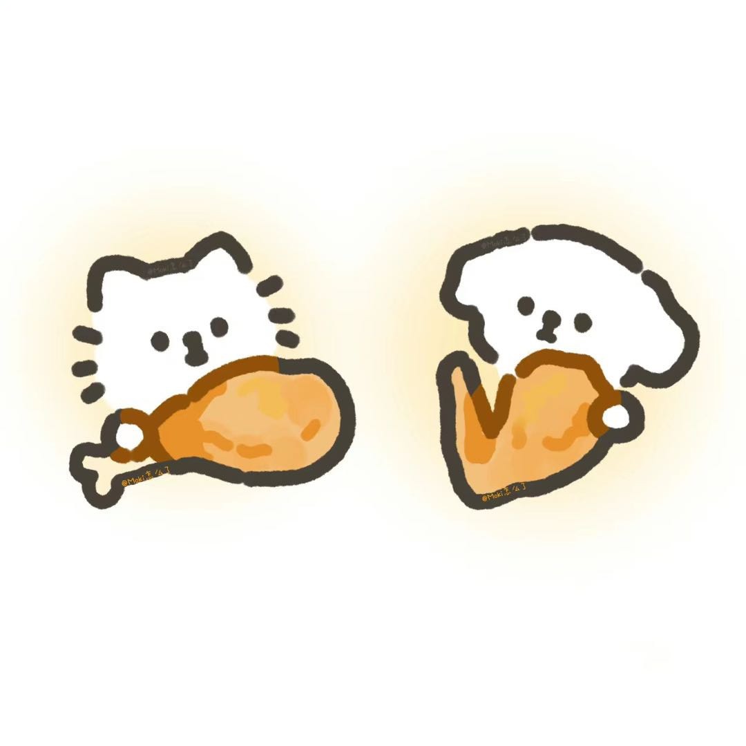 小阳爱猫狗
