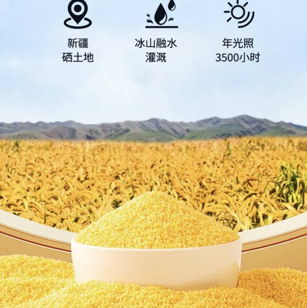 龙都集市-新疆沙漠小黄米