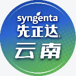 先正达植保-滇东北