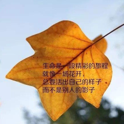 兰馨启迪人生