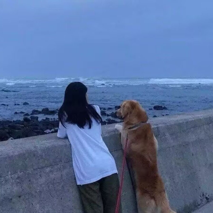 神犬急救