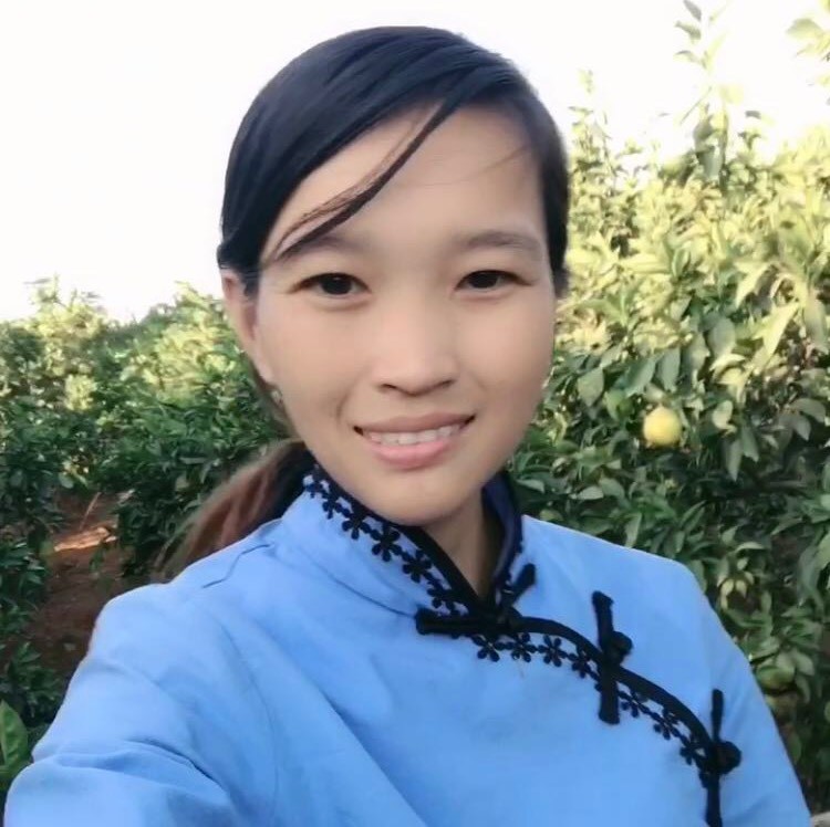 赣南袁橙