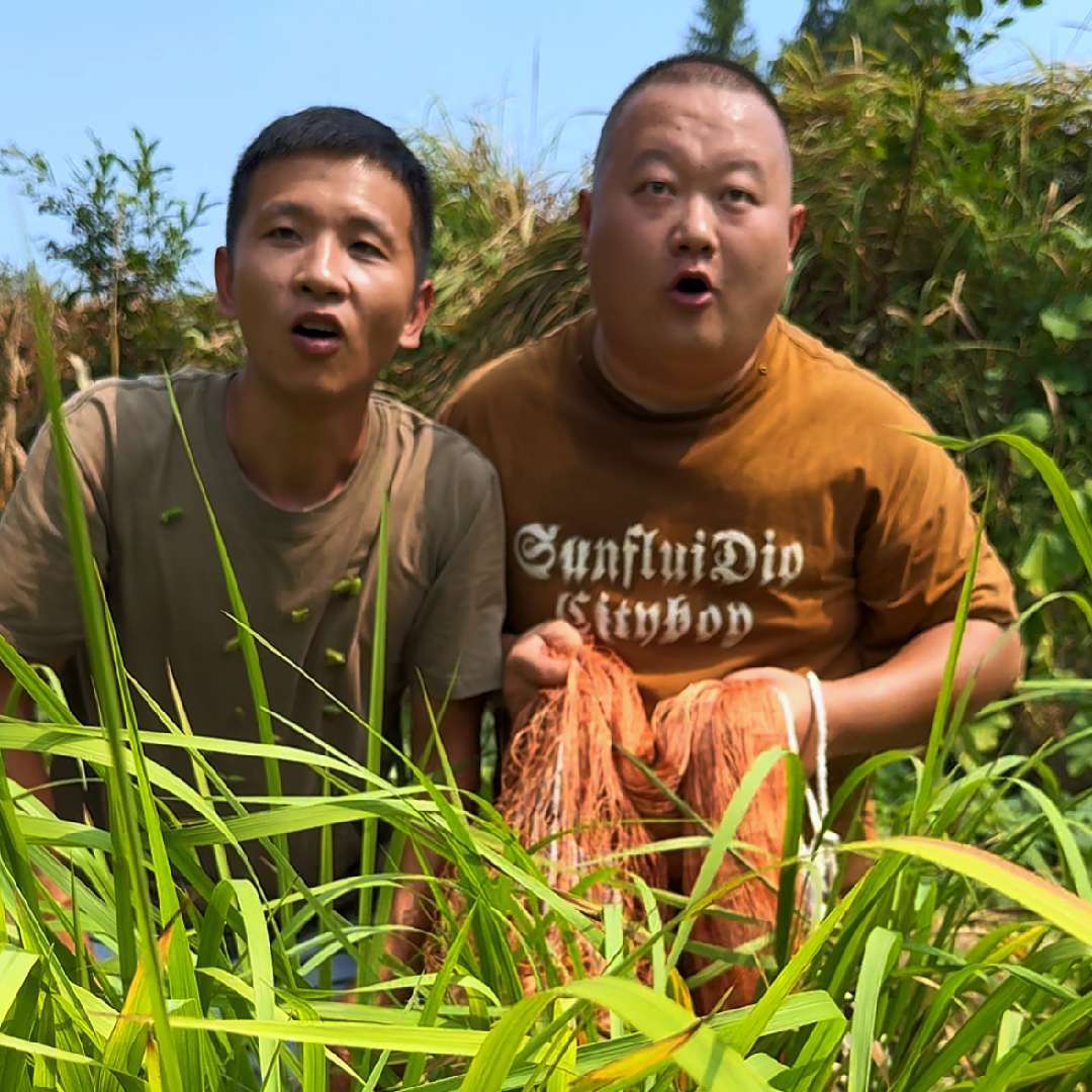 松果子与胖娃儿