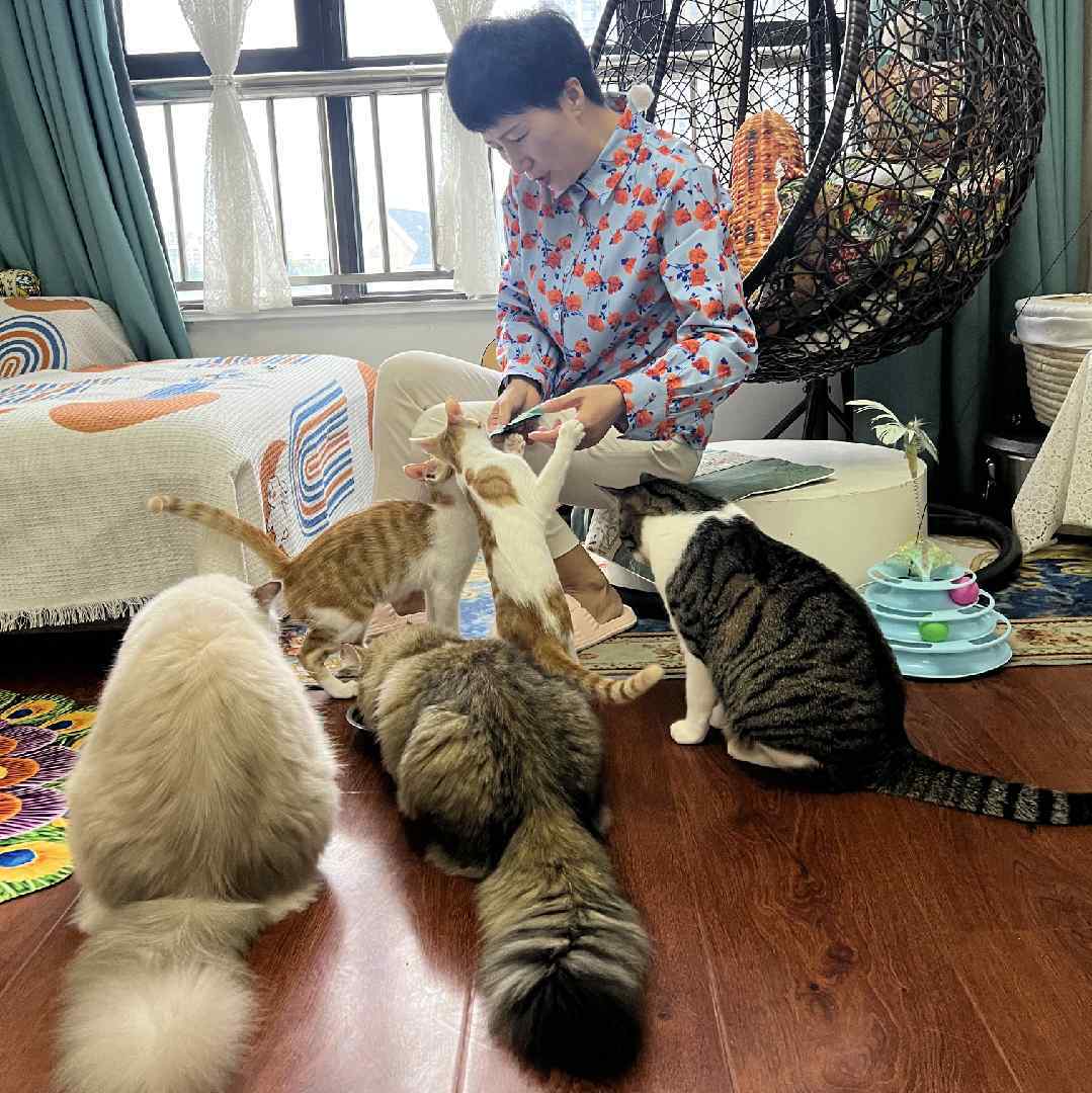 海峡和她的猫