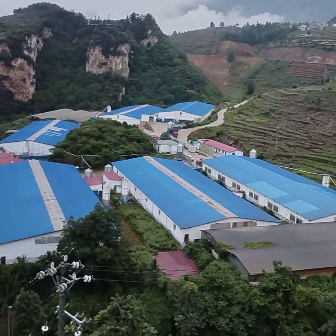 陳氏牧业o