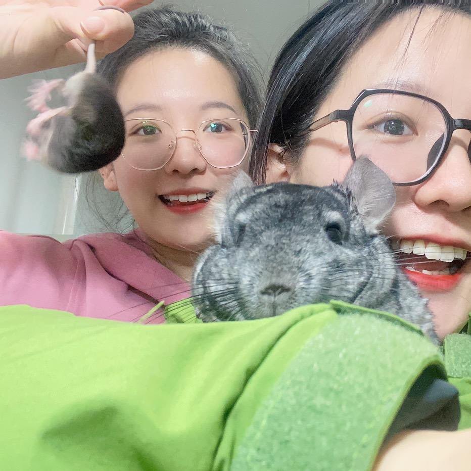 毛驴不是驴儿儿