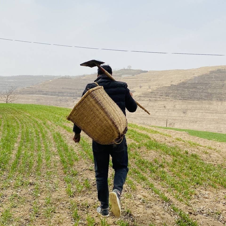 甘肃人阿栋在农村