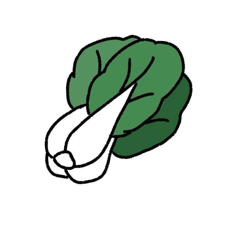 一颗小白菜1122