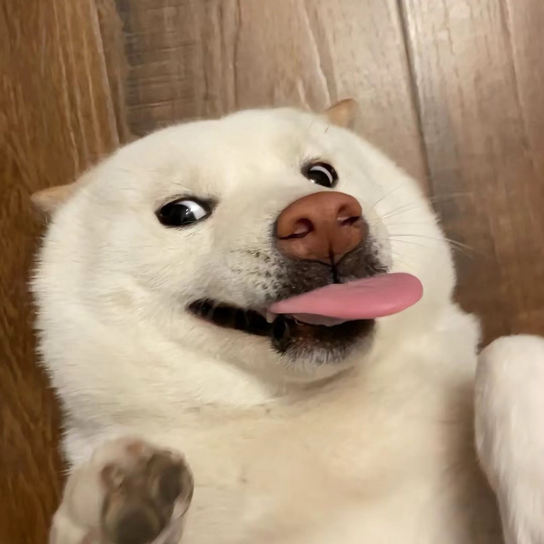 贵乐圈613抽象飓风