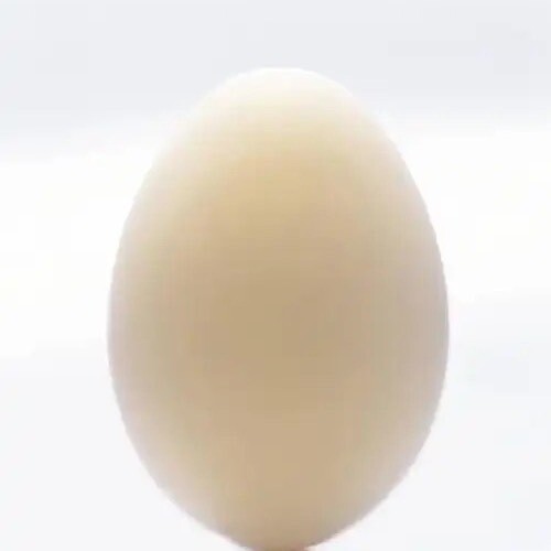 张三竖2701