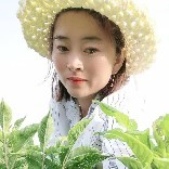 优农魔芋农产品