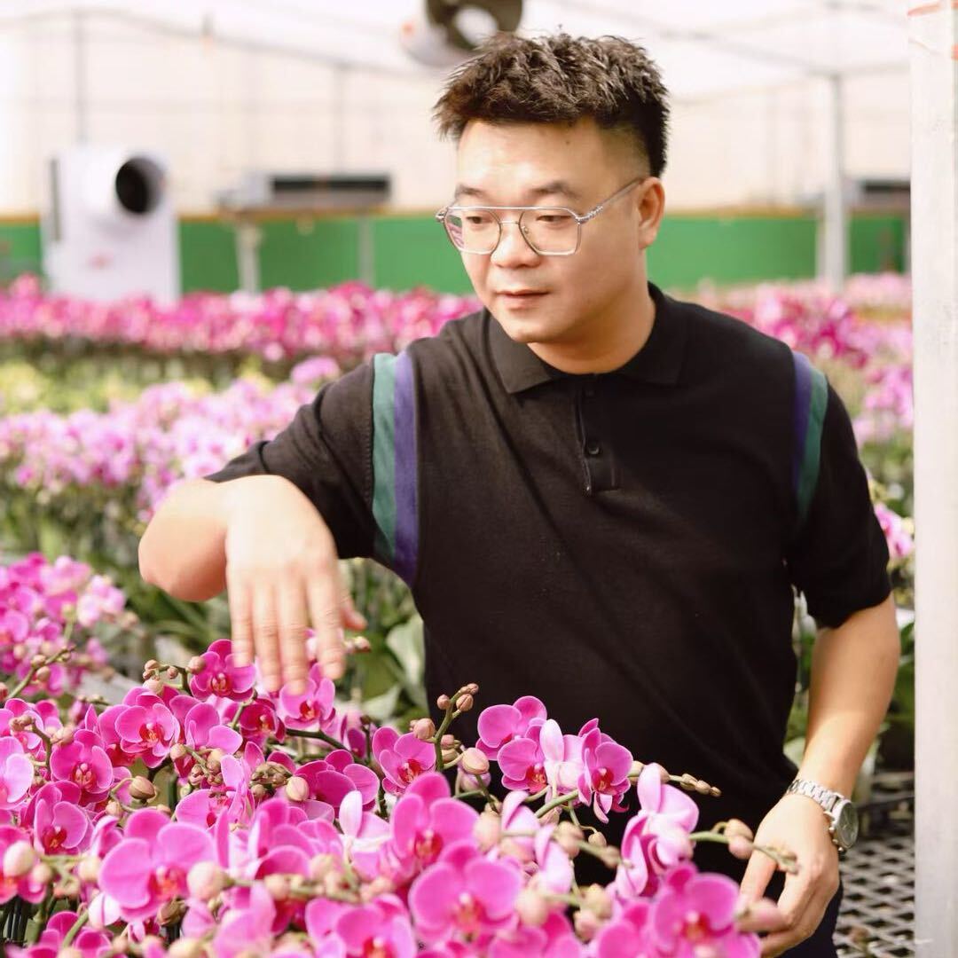 邓先生的桂兰记