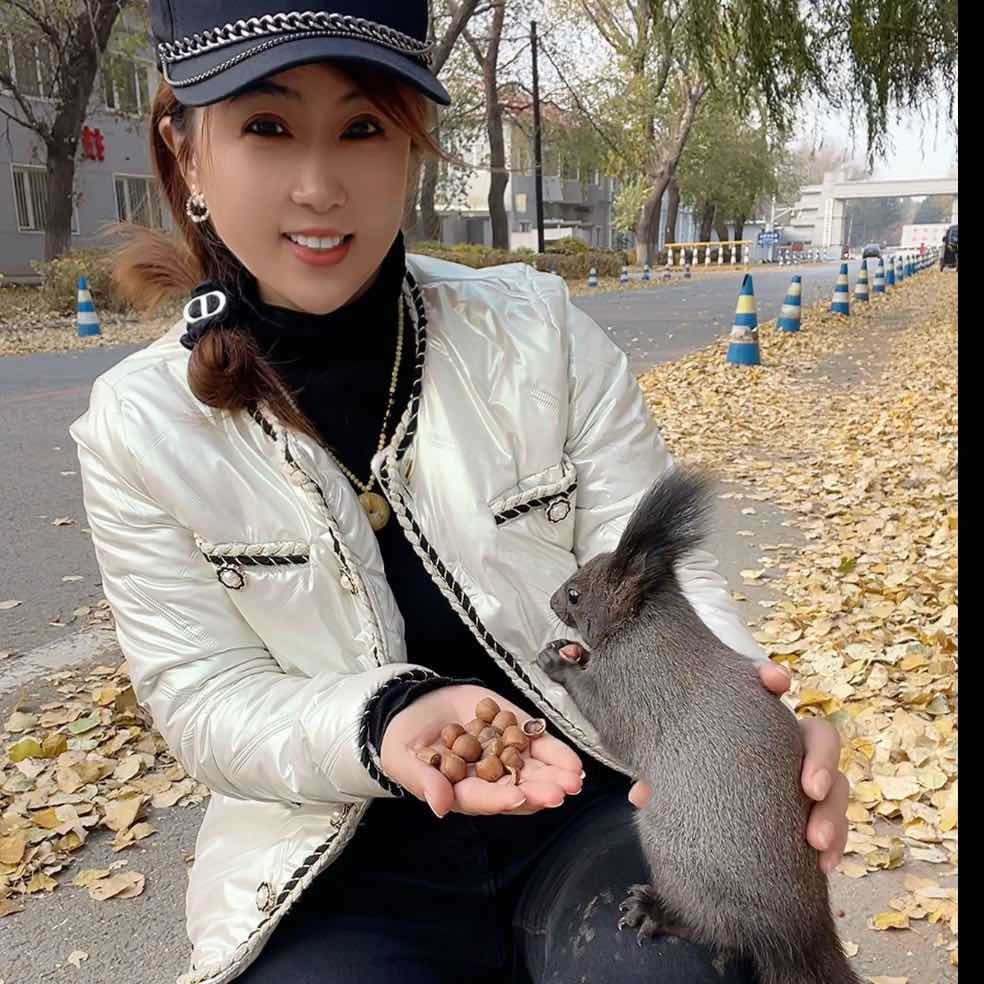 小松鼠榛子玲姐