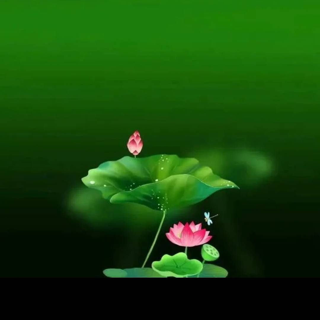 康风中赶路人
