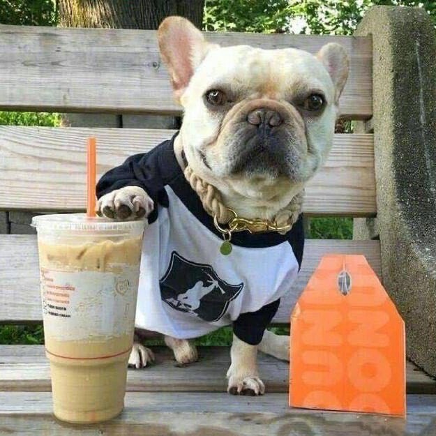 嘎嘎丶搞笑配音