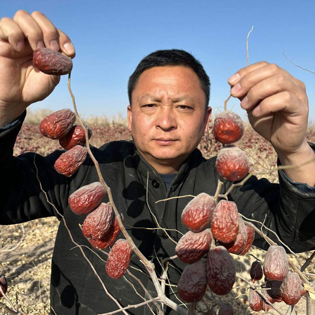 小杨在新疆种地