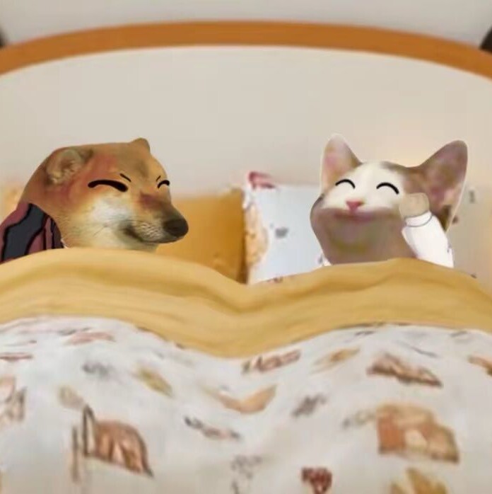 猫猫meme记