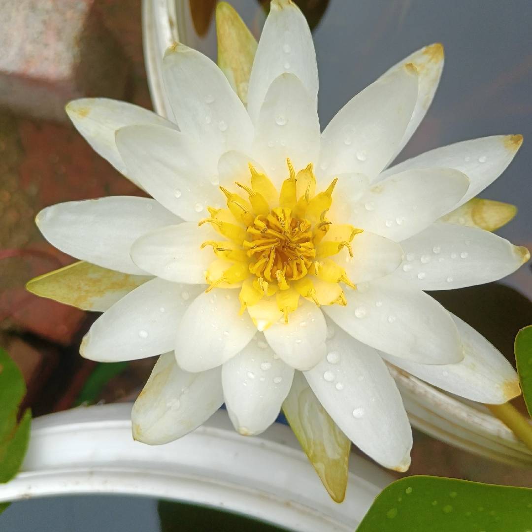 80后地摊大叔123