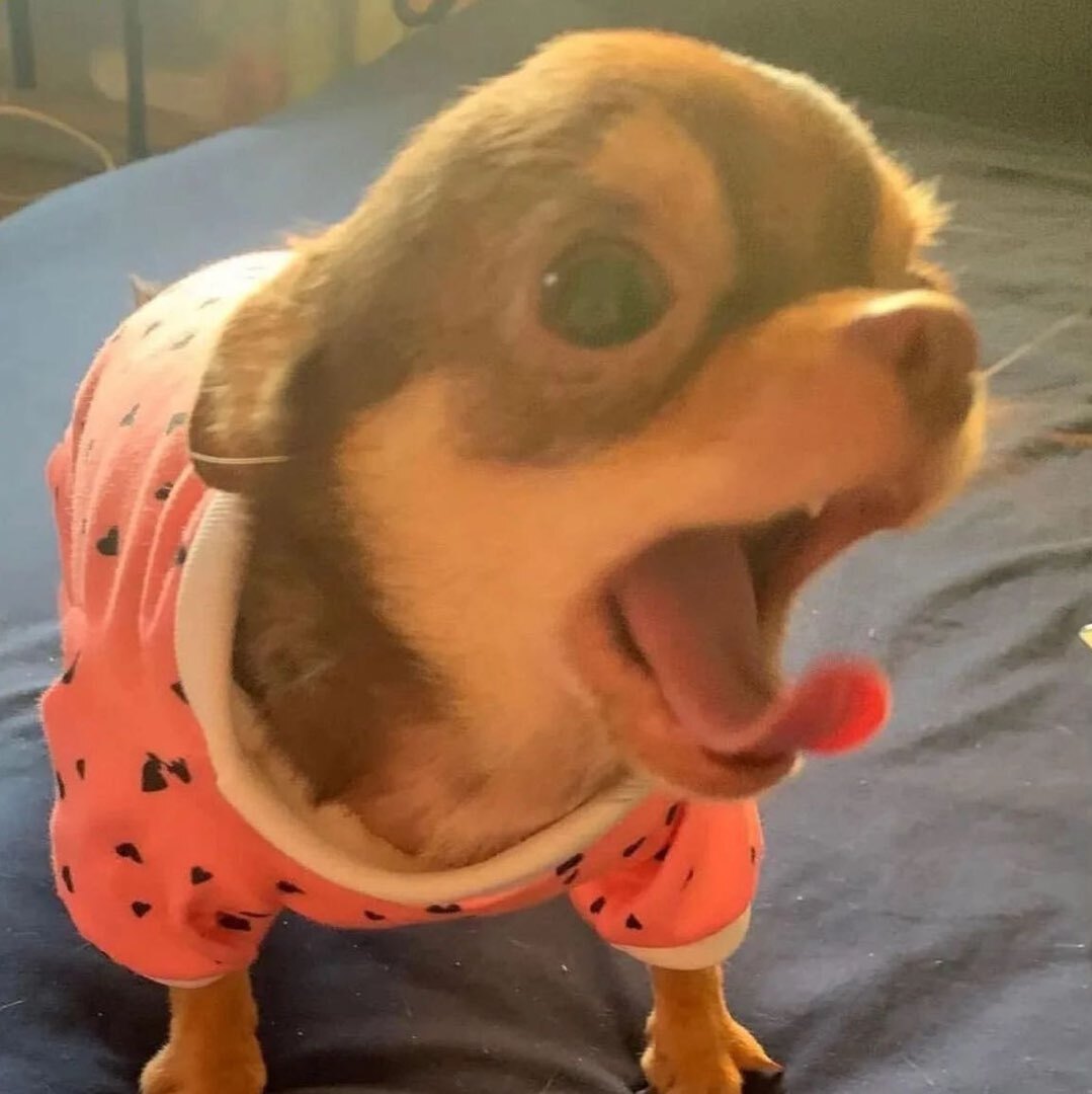 洗袜袜大王驾到