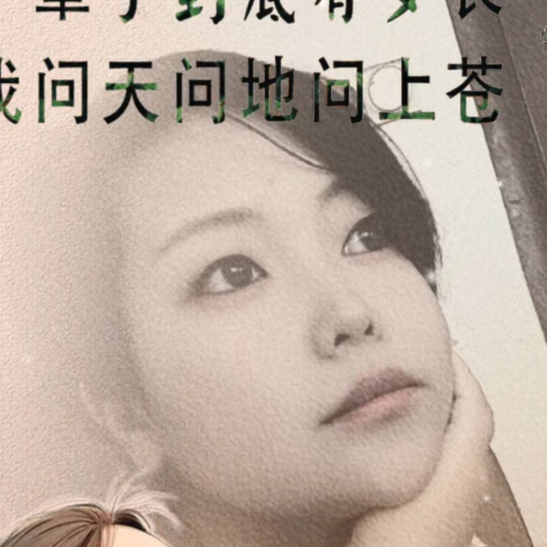 海燕Y6