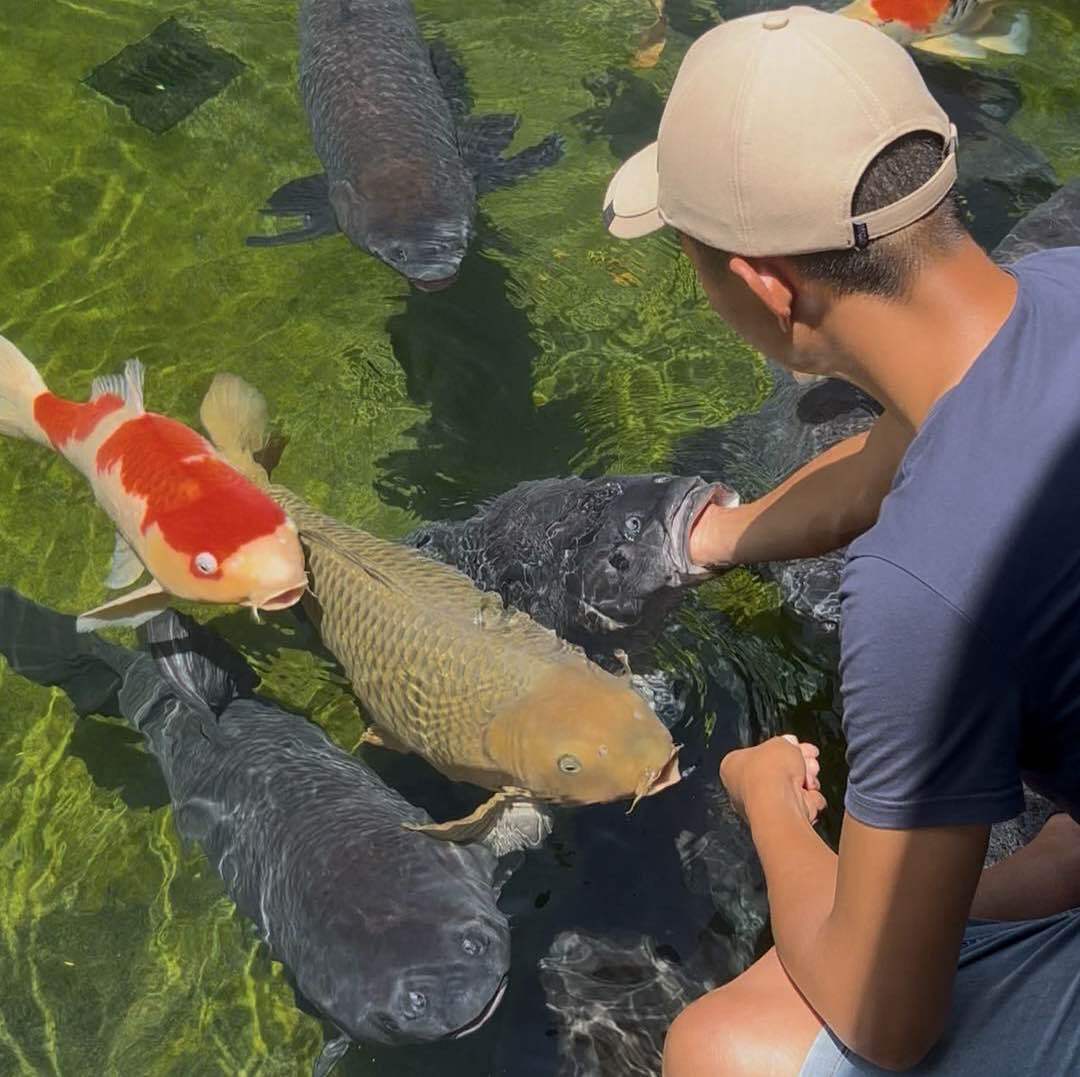 新哥-造园养大青鱼