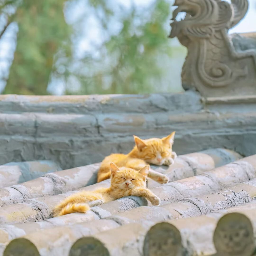 北窗一枕..
