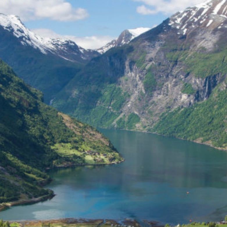 肿瘤专家杨农教授