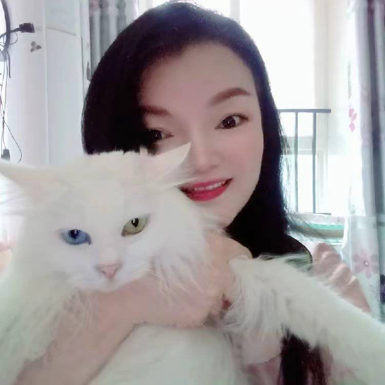 动物解说站