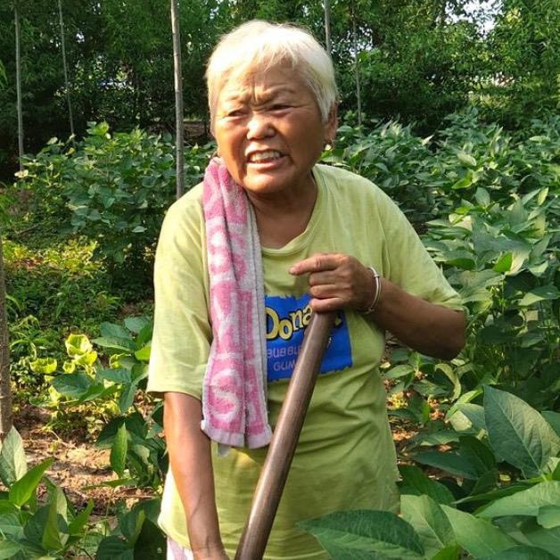 曹奶奶的搞笑日常