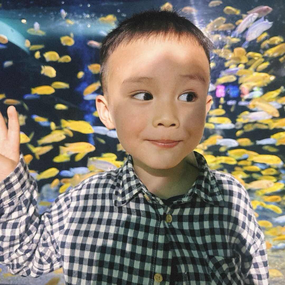小慧四季食养