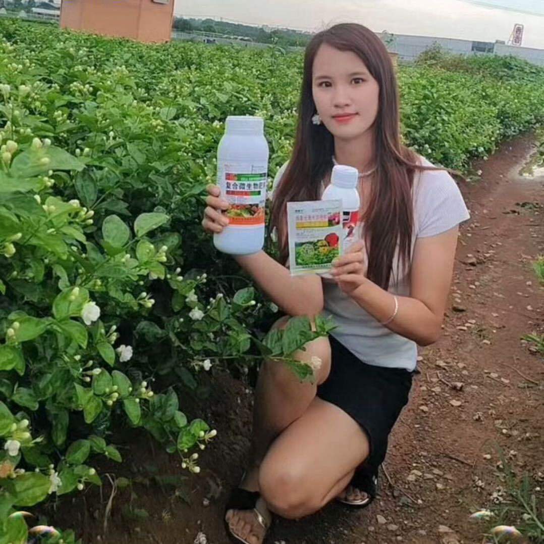 横州三农丽妃判世盛