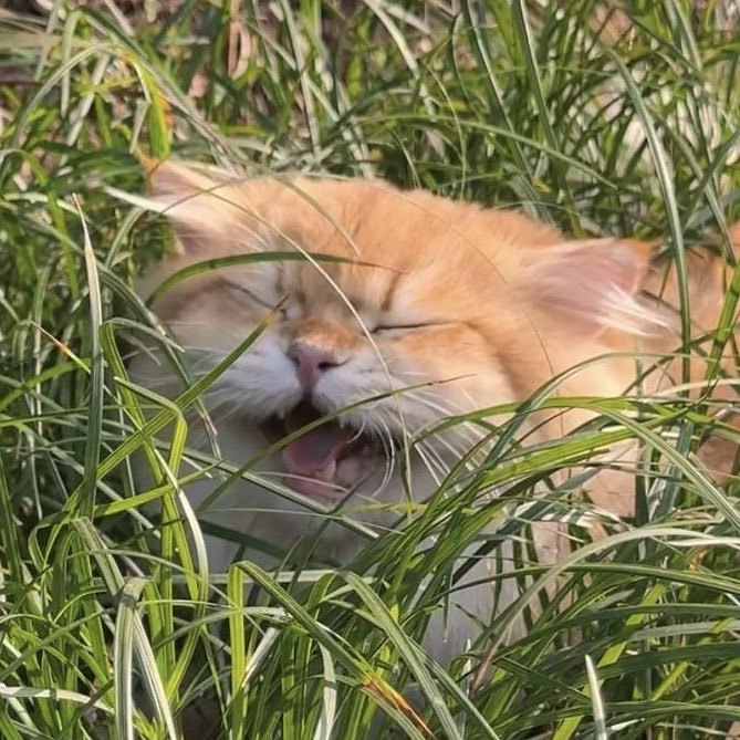 又又在干嘛.